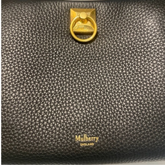 Mulberry Iris - Picture 3 of 3